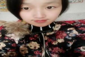 网络剧军犬在线观看