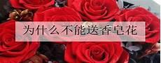 巴斯光年的寓意
